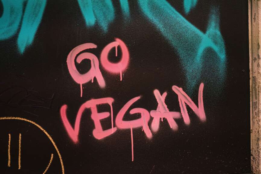 Graffiti on wall "Go Vegan"