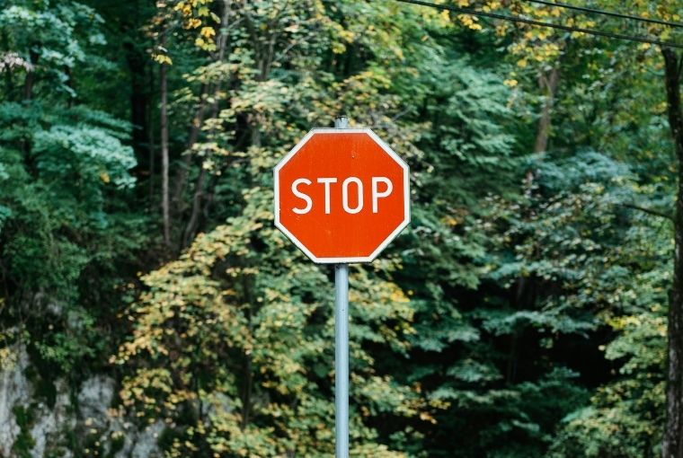 A stop sign in front of trees as a symbol of sustainability regulations