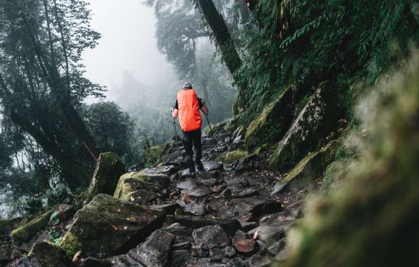 Solo hiker wearing professional backpack covered rain protect walk across foggy jungle mountain. Young tourist traveling along rocky forest trek